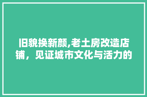 旧貌换新颜,老土房改造店铺，见证城市文化与活力的复兴 综合便民