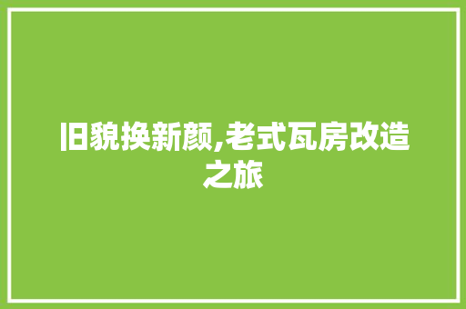 旧貌换新颜,老式瓦房改造之旅 家电维修