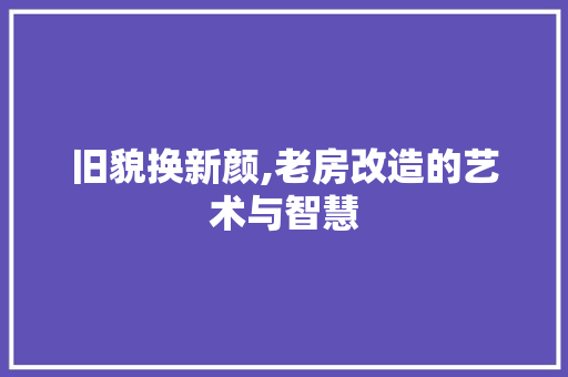 旧貌换新颜,老房改造的艺术与智慧 汽车维修