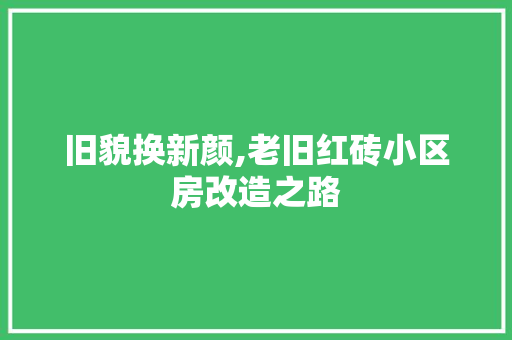 旧貌换新颜,老旧红砖小区房改造之路 综合便民