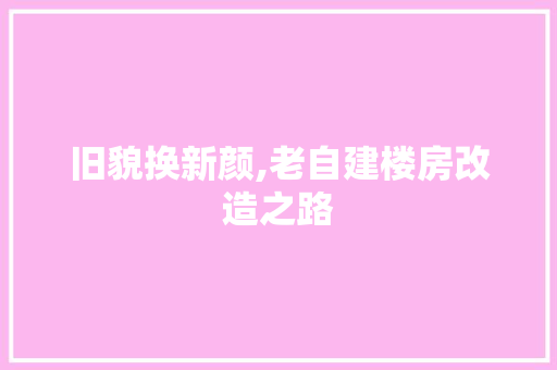 旧貌换新颜,老自建楼房改造之路
