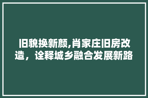 旧貌换新颜,肖家庄旧房改造，诠释城乡融合发展新路径