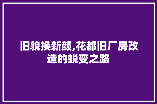 旧貌换新颜,花都旧厂房改造的蜕变之路