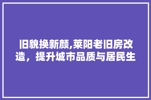 旧貌换新颜,莱阳老旧房改造，提升城市品质与居民生活