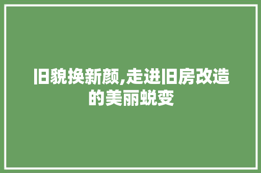 旧貌换新颜,走进旧房改造的美丽蜕变