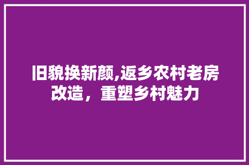 旧貌换新颜,返乡农村老房改造，重塑乡村魅力 墙体维修