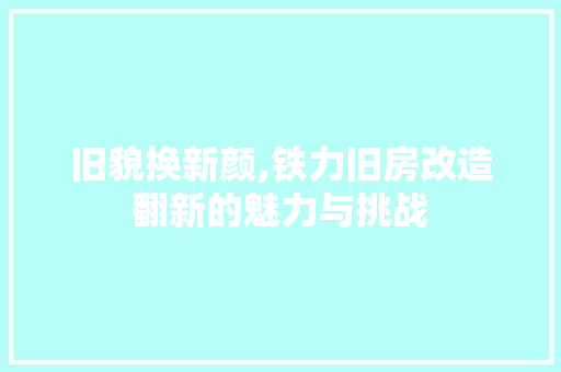 旧貌换新颜,铁力旧房改造翻新的魅力与挑战 汽车维修
