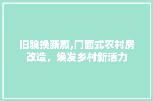 旧貌换新颜,门面式农村房改造，焕发乡村新活力 墙体维修