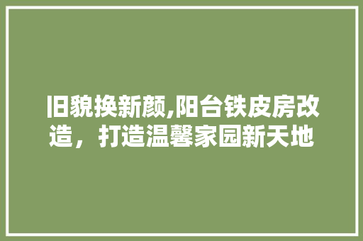 旧貌换新颜,阳台铁皮房改造，打造温馨家园新天地 综合便民