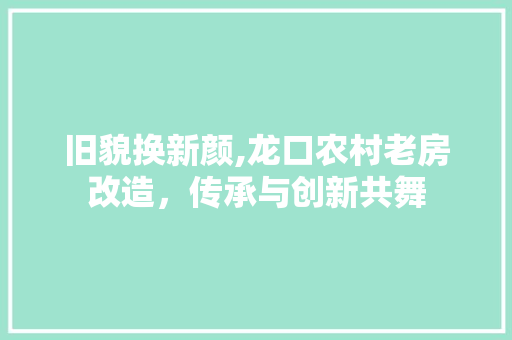 旧貌换新颜,龙口农村老房改造，传承与创新共舞 厨房维修