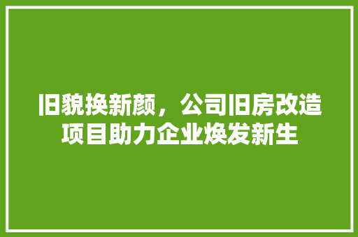旧貌换新颜，公司旧房改造项目助力企业焕发新生
