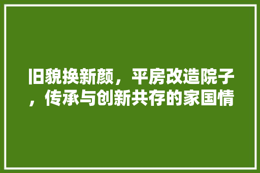 旧貌换新颜，平房改造院子，传承与创新共存的家国情怀