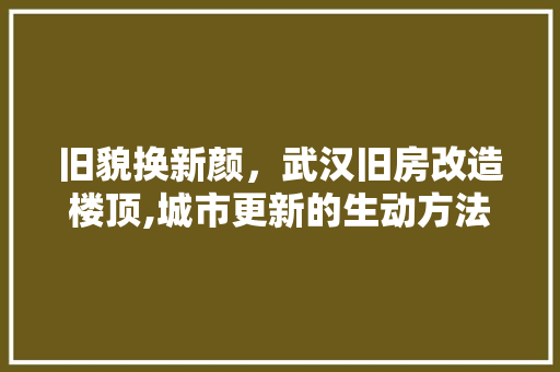 旧貌换新颜，武汉旧房改造楼顶,城市更新的生动方法 汽车维修