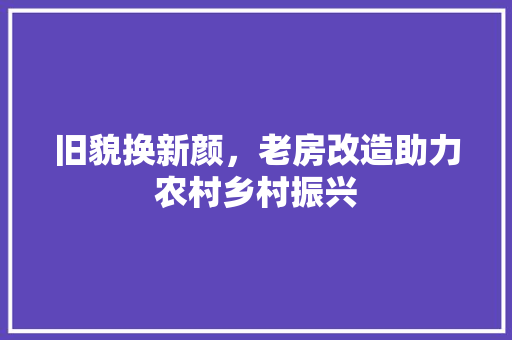旧貌换新颜，老房改造助力农村乡村振兴