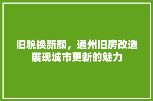 旧貌换新颜，通州旧房改造展现城市更新的魅力 墙体维修