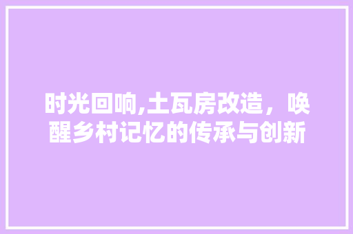 时光回响,土瓦房改造，唤醒乡村记忆的传承与创新 综合便民