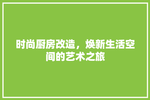 时尚厨房改造，焕新生活空间的艺术之旅