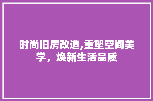 时尚旧房改造,重塑空间美学，焕新生活品质