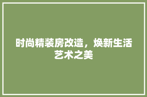 时尚精装房改造，焕新生活艺术之美