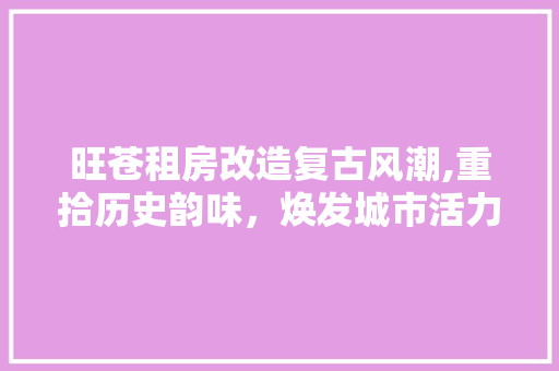 旺苍租房改造复古风潮,重拾历史韵味，焕发城市活力