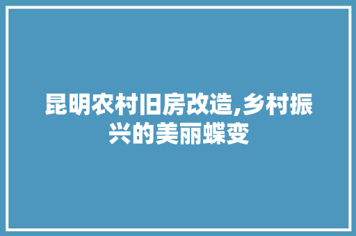 昆明农村旧房改造,乡村振兴的美丽蝶变 综合便民