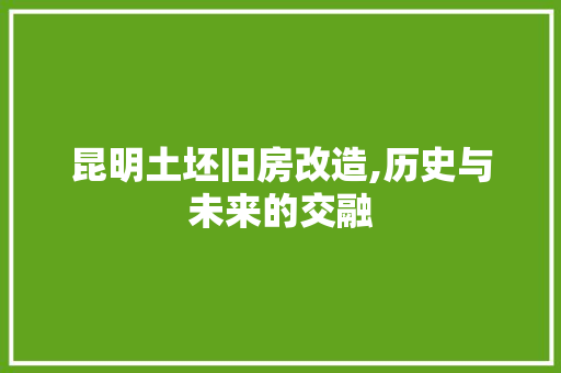 昆明土坯旧房改造,历史与未来的交融