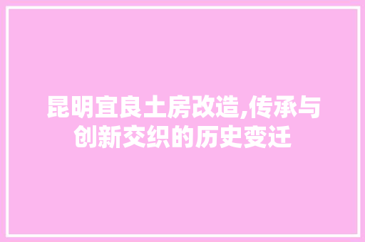 昆明宜良土房改造,传承与创新交织的历史变迁