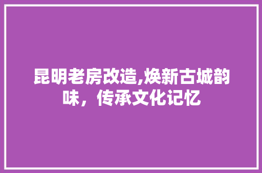 昆明老房改造,焕新古城韵味，传承文化记忆 综合便民
