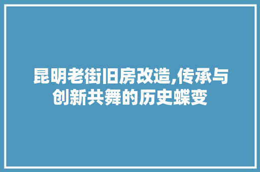昆明老街旧房改造,传承与创新共舞的历史蝶变 综合便民