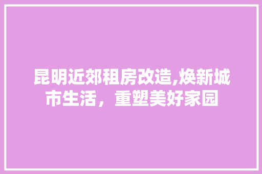 昆明近郊租房改造,焕新城市生活，重塑美好家园 综合便民