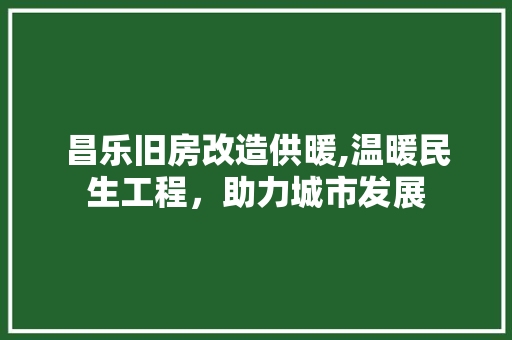 昌乐旧房改造供暖,温暖民生工程，助力城市发展 家电维修