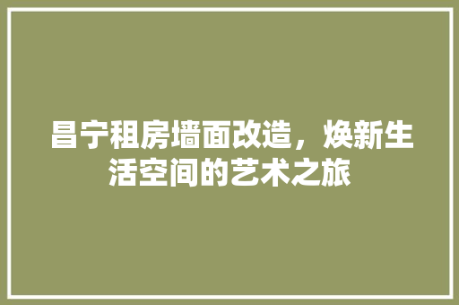 昌宁租房墙面改造，焕新生活空间的艺术之旅
