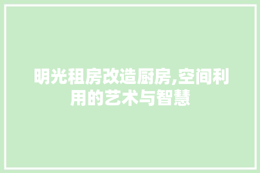 明光租房改造厨房,空间利用的艺术与智慧