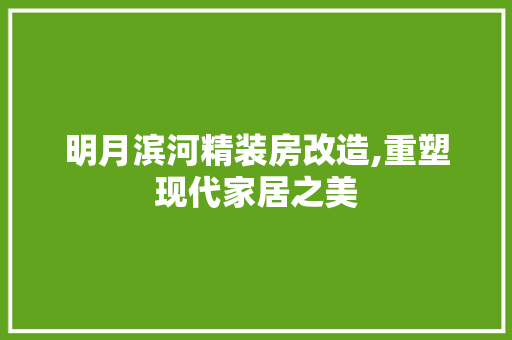 明月滨河精装房改造,重塑现代家居之美