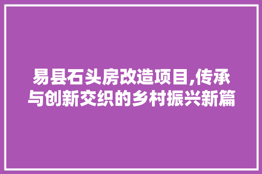 易县石头房改造项目,传承与创新交织的乡村振兴新篇章 厨房维修