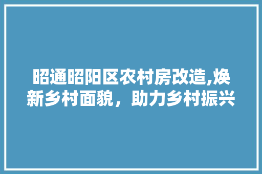 昭通昭阳区农村房改造,焕新乡村面貌，助力乡村振兴