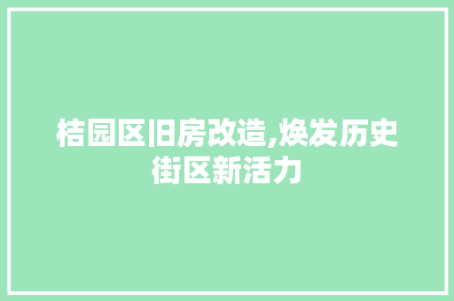 桔园区旧房改造,焕发历史街区新活力 汽车维修