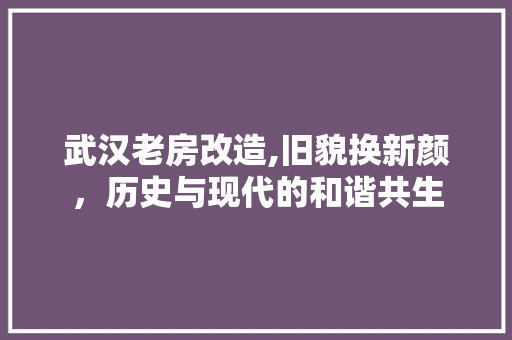 武汉老房改造,旧貌换新颜，历史与现代的和谐共生