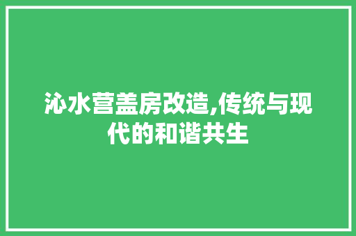 沁水营盖房改造,传统与现代的和谐共生