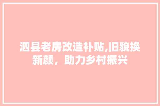 泗县老房改造补贴,旧貌换新颜，助力乡村振兴 家电维修