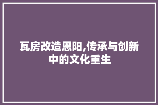 瓦房改造恩阳,传承与创新中的文化重生