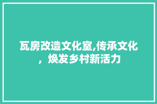 瓦房改造文化室,传承文化，焕发乡村新活力 墙体维修
