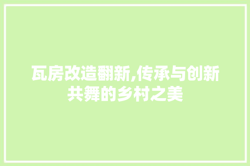 瓦房改造翻新,传承与创新共舞的乡村之美 汽车维修