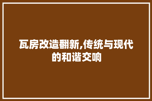 瓦房改造翻新,传统与现代的和谐交响 墙体维修