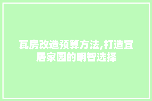 瓦房改造预算方法,打造宜居家园的明智选择 墙体维修
