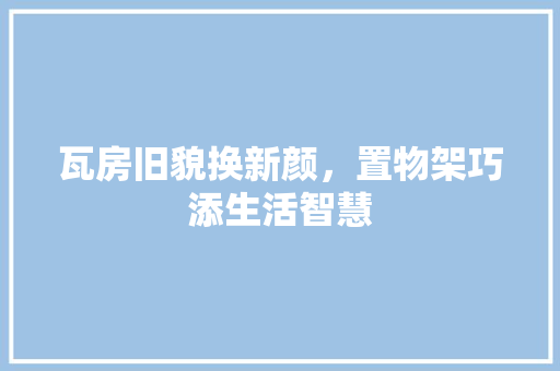 瓦房旧貌换新颜，置物架巧添生活智慧 墙体维修