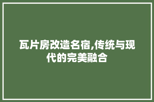 瓦片房改造名宿,传统与现代的完美融合 墙体维修