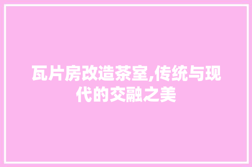 瓦片房改造茶室,传统与现代的交融之美 厨房维修