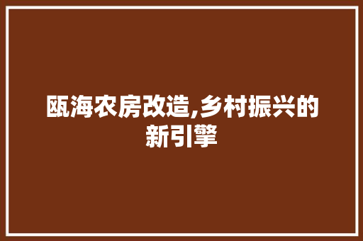 瓯海农房改造,乡村振兴的新引擎 墙体维修