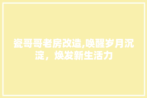 瓷哥哥老房改造,唤醒岁月沉淀，焕发新生活力 墙体维修
